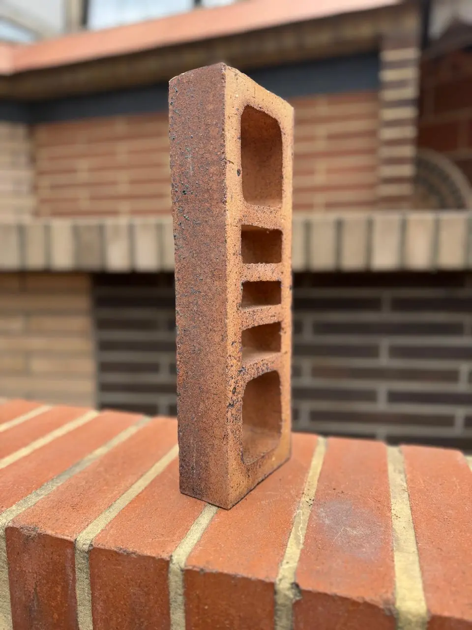 ladrillo ESTRUCTURAL super CANELA