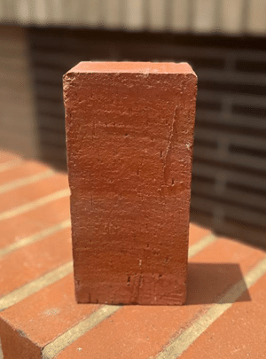 Adoquín Rectangular (10x20x8)