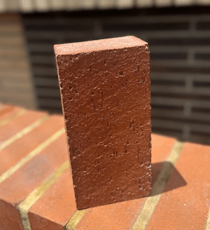 Adoquín Rectangular (10x20x6)